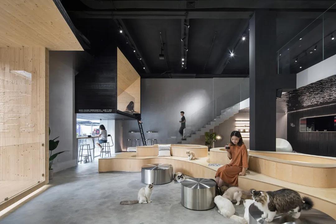 寵物店室內(nèi)設(shè)計(jì)裝修圖片